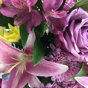 Meet your Posher, Ashley